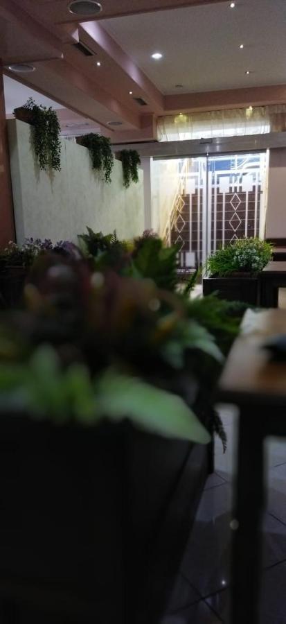 Orange Villa Τίρανα Εξωτερικό φωτογραφία